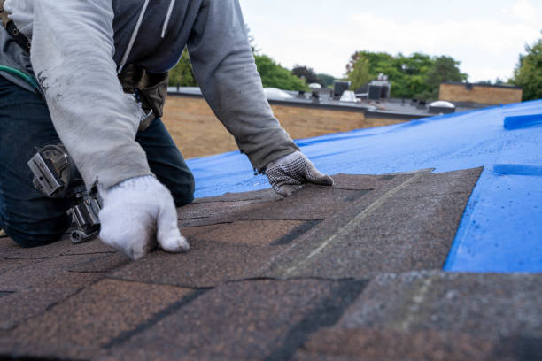 Best Local Roofing Companies  in Prudhoe Bay, AK